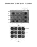 NOVEL ANTIVIRAL COMPOUNDS FROM MARINE EXTRACTS diagram and image