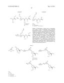 INHIBITORS OF HEPATITIS C VIRUS diagram and image