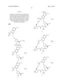 INHIBITORS OF HEPATITIS C VIRUS diagram and image