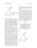 INHIBITORS OF HEPATITIS C VIRUS diagram and image