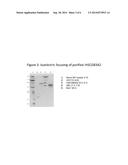 Methods of Use for Recombinant Human Secretoglobins diagram and image