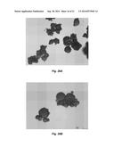 Resorbable Oxidized Cellulose Embolization Microspheres diagram and image