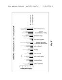 SYSTEMIC ADMINISTRATION OF ANDROGEN IN TREATING DRY EYE SYNDROME diagram and image