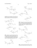 INHIBITORS OF THE RENAL OUTER MEDULLARY POTASSIUM CHANNEL diagram and image