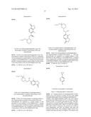 INHIBITORS OF THE RENAL OUTER MEDULLARY POTASSIUM CHANNEL diagram and image