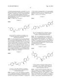 INHIBITORS OF THE RENAL OUTER MEDULLARY POTASSIUM CHANNEL diagram and image