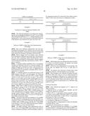 PRODRUGS OF FUMARATES AND THEIR USE IN TREATING VARIOUS DISEASES diagram and image