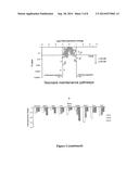 DIIMIDE COMPOUNDS diagram and image