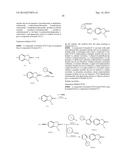 HETEROCYCLIC SUBSTITUTED-3-HETEROARYLIDENYL-2-INDOLINONE DERIVATIVE diagram and image