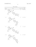 SUBSTITUTED 2-AZA-BICYCLO[2.2.2]OCTANE-3-CARBOXYLIC ACID     (BENZYL-CYANO-METHYL)-AMIDES INHIBITORS OF CATHEPSIN C diagram and image