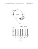 USES OF THE HUMAN ZFX GENE AND DRUGS ASSOCIATED WITH SAME diagram and image