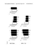 THE miRNA-212/132 FAMILY AS A THERAPEUTIC TARGET diagram and image