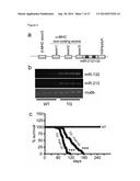 THE miRNA-212/132 FAMILY AS A THERAPEUTIC TARGET diagram and image