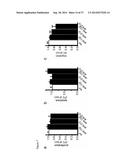 THE miRNA-212/132 FAMILY AS A THERAPEUTIC TARGET diagram and image