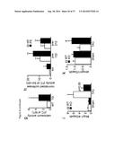 THE miRNA-212/132 FAMILY AS A THERAPEUTIC TARGET diagram and image