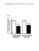 THE miRNA-212/132 FAMILY AS A THERAPEUTIC TARGET diagram and image