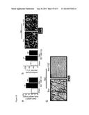 THE miRNA-212/132 FAMILY AS A THERAPEUTIC TARGET diagram and image