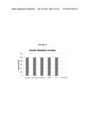 MODIFIED POLYNUCLEOTIDES ENCODING UDP GLUCURONOSYLTRANSFERASE 1 FAMILY,     POLYPEPTIDE A1 diagram and image