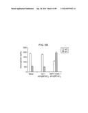 HUMAN MONOCLONAL ANTIBODIES AND METHODS FOR PRODUCING THE SAME diagram and image