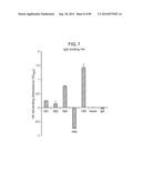 HUMAN MONOCLONAL ANTIBODIES AND METHODS FOR PRODUCING THE SAME diagram and image