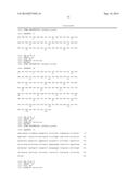 HUMAN MONOCLONAL ANTIBODIES AND METHODS FOR PRODUCING THE SAME diagram and image