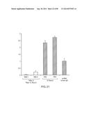 HUMAN MONOCLONAL ANTIBODIES AND METHODS FOR PRODUCING THE SAME diagram and image