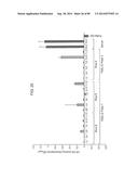 HUMAN MONOCLONAL ANTIBODIES AND METHODS FOR PRODUCING THE SAME diagram and image