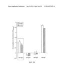 HUMAN MONOCLONAL ANTIBODIES AND METHODS FOR PRODUCING THE SAME diagram and image