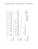 HUMAN MONOCLONAL ANTIBODIES AND METHODS FOR PRODUCING THE SAME diagram and image