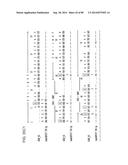 HUMAN MONOCLONAL ANTIBODIES AND METHODS FOR PRODUCING THE SAME diagram and image