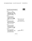 HUMAN MONOCLONAL ANTIBODIES AND METHODS FOR PRODUCING THE SAME diagram and image