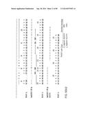 HUMAN MONOCLONAL ANTIBODIES AND METHODS FOR PRODUCING THE SAME diagram and image