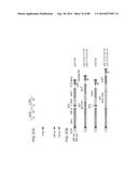 HUMAN MONOCLONAL ANTIBODIES AND METHODS FOR PRODUCING THE SAME diagram and image