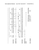 HUMAN MONOCLONAL ANTIBODIES AND METHODS FOR PRODUCING THE SAME diagram and image