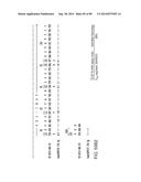 HUMAN MONOCLONAL ANTIBODIES AND METHODS FOR PRODUCING THE SAME diagram and image