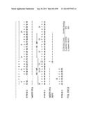 HUMAN MONOCLONAL ANTIBODIES AND METHODS FOR PRODUCING THE SAME diagram and image