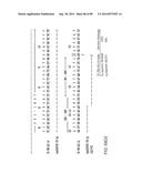 HUMAN MONOCLONAL ANTIBODIES AND METHODS FOR PRODUCING THE SAME diagram and image