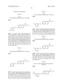 SUBSTITUTED NAPHTHYRIDINE AND QUINOLINE COMPOUNDS AS MAO INHIBITORS diagram and image