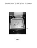 CONTINUOUS OPTODE FLUORESCENT MEASUREMENT SYSTEM diagram and image