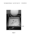 CONTINUOUS OPTODE FLUORESCENT MEASUREMENT SYSTEM diagram and image