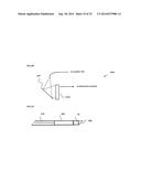 TISSUE IMAGING AND IMAGE GUIDANCE IN LUMINAL ANATOMIC STRUCTURES AND BODY     CAVITIES diagram and image