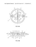 BIOLOGICAL INFORMATION DETECTION APPARATUS diagram and image