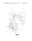 Strapping System for Securing an Orthopedic Brace to the Body diagram and image