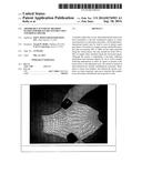 Absorbable Synthetic Braided Matrix for Breast Reconstruction and Hernia     Repair diagram and image
