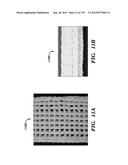 IMPLANTABLE SILK PROSTHETIC DEVICE AND USES THEREOF diagram and image