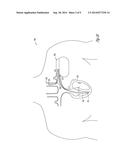 ELECTRICAL ENERGY DELIVERY TISSUE SITE VALIDATION diagram and image