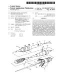 PROSTHESIS HAVING AN EVERTING PIVOTING FENESTRATION diagram and image