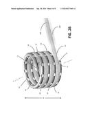 EXPANDABLE COIL SPINAL IMPLANT diagram and image