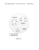 FITTING SYSTEM FOR A NEURAL ENABLED LIMB PROSTHESIS SYSTEM diagram and image