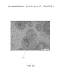 PROCESS FOR DRYING A WET FILM WITH CONTROL OF LOSS ON DRYING diagram and image